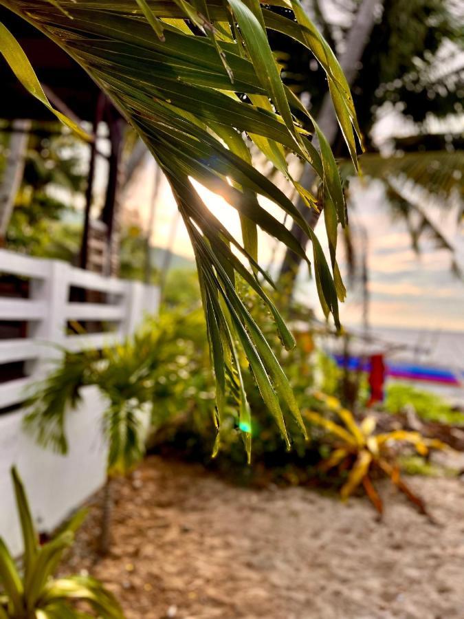 Amami Beachfront Villa With Private Beach Puerto Galera Εξωτερικό φωτογραφία