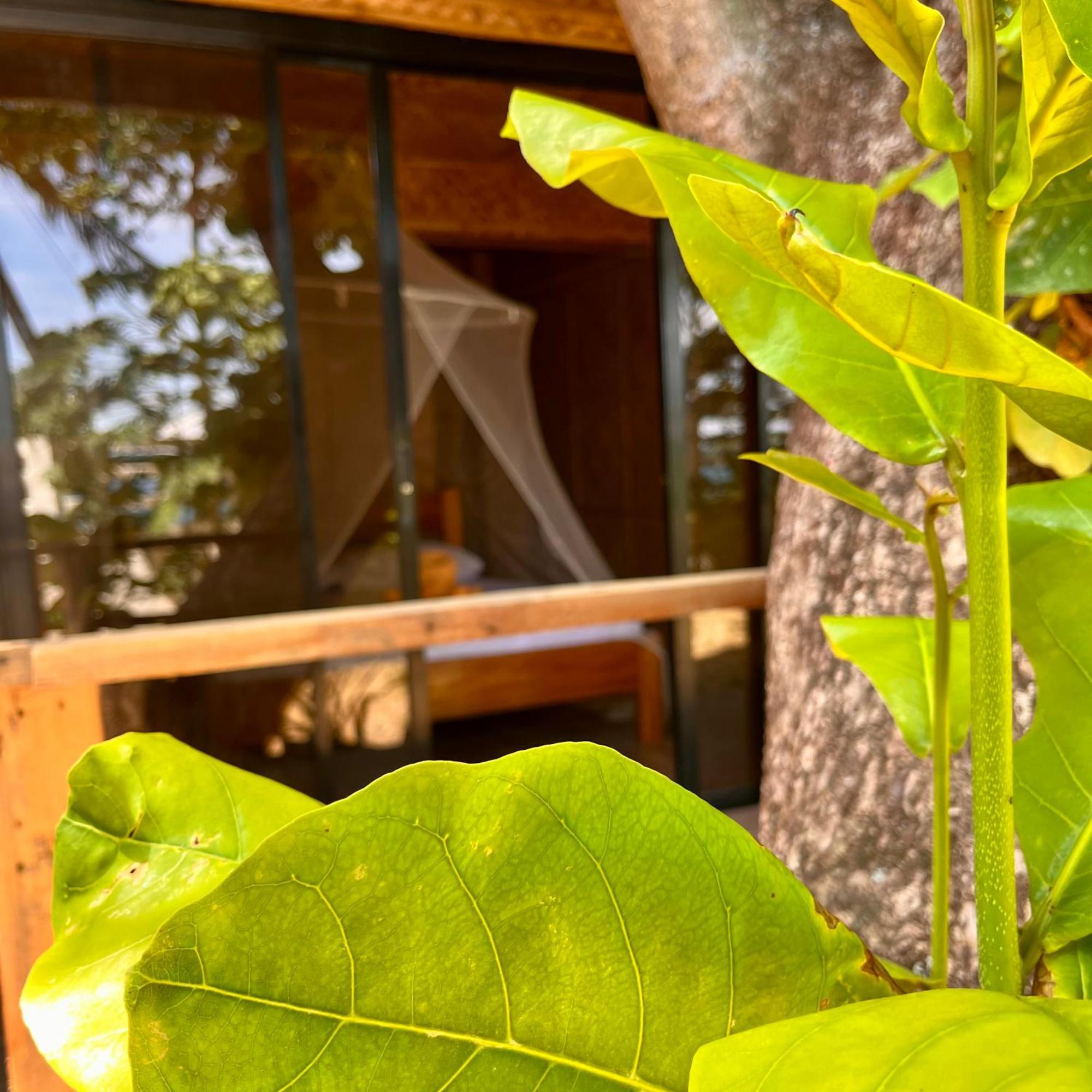 Amami Beachfront Villa With Private Beach Puerto Galera Εξωτερικό φωτογραφία