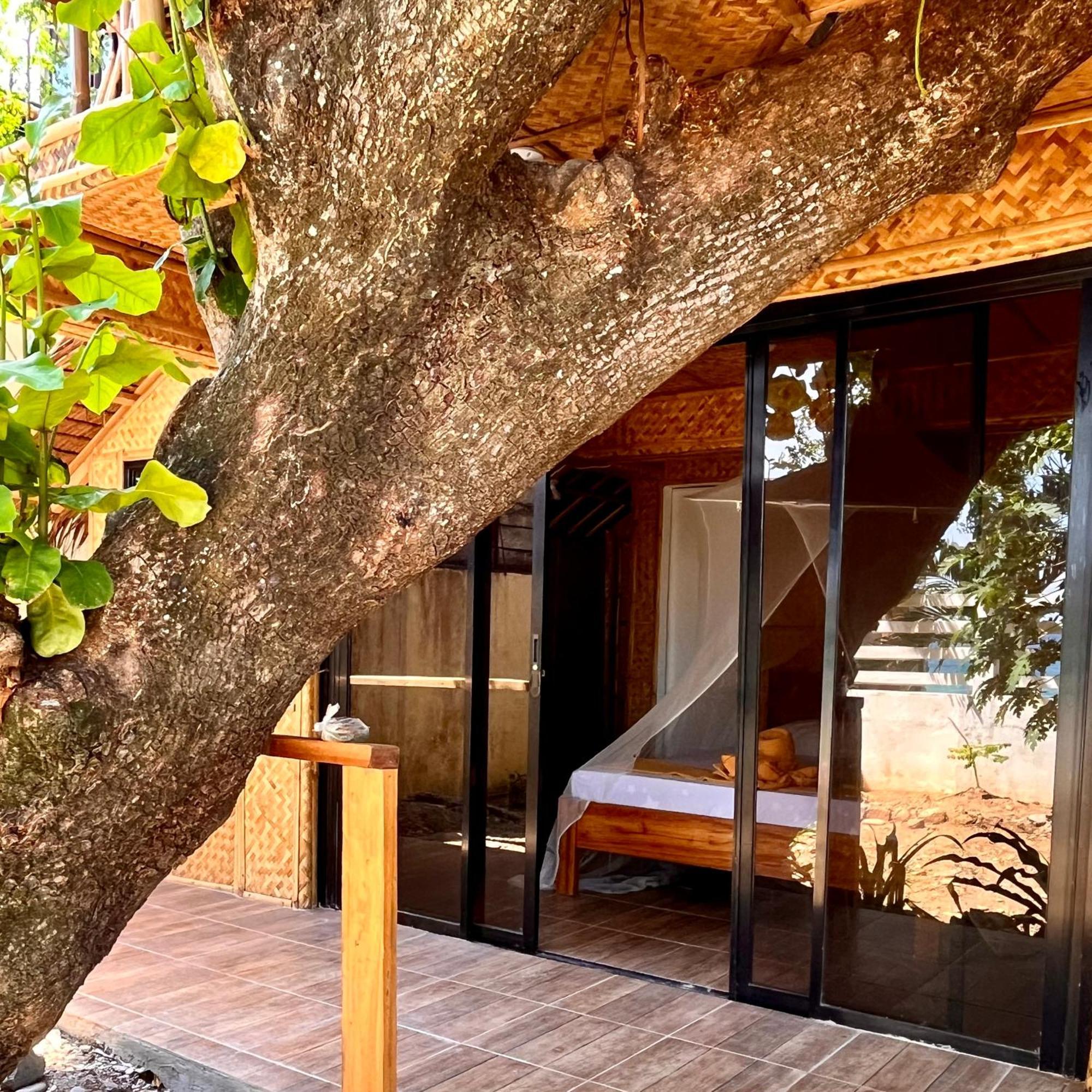 Amami Beachfront Villa With Private Beach Puerto Galera Εξωτερικό φωτογραφία